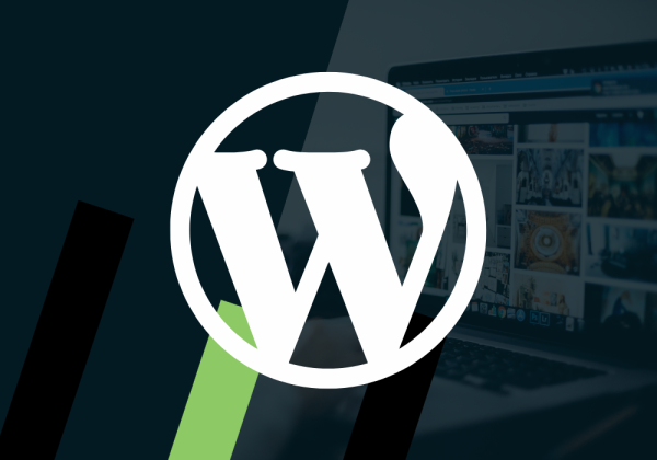 WordPress voor beginners